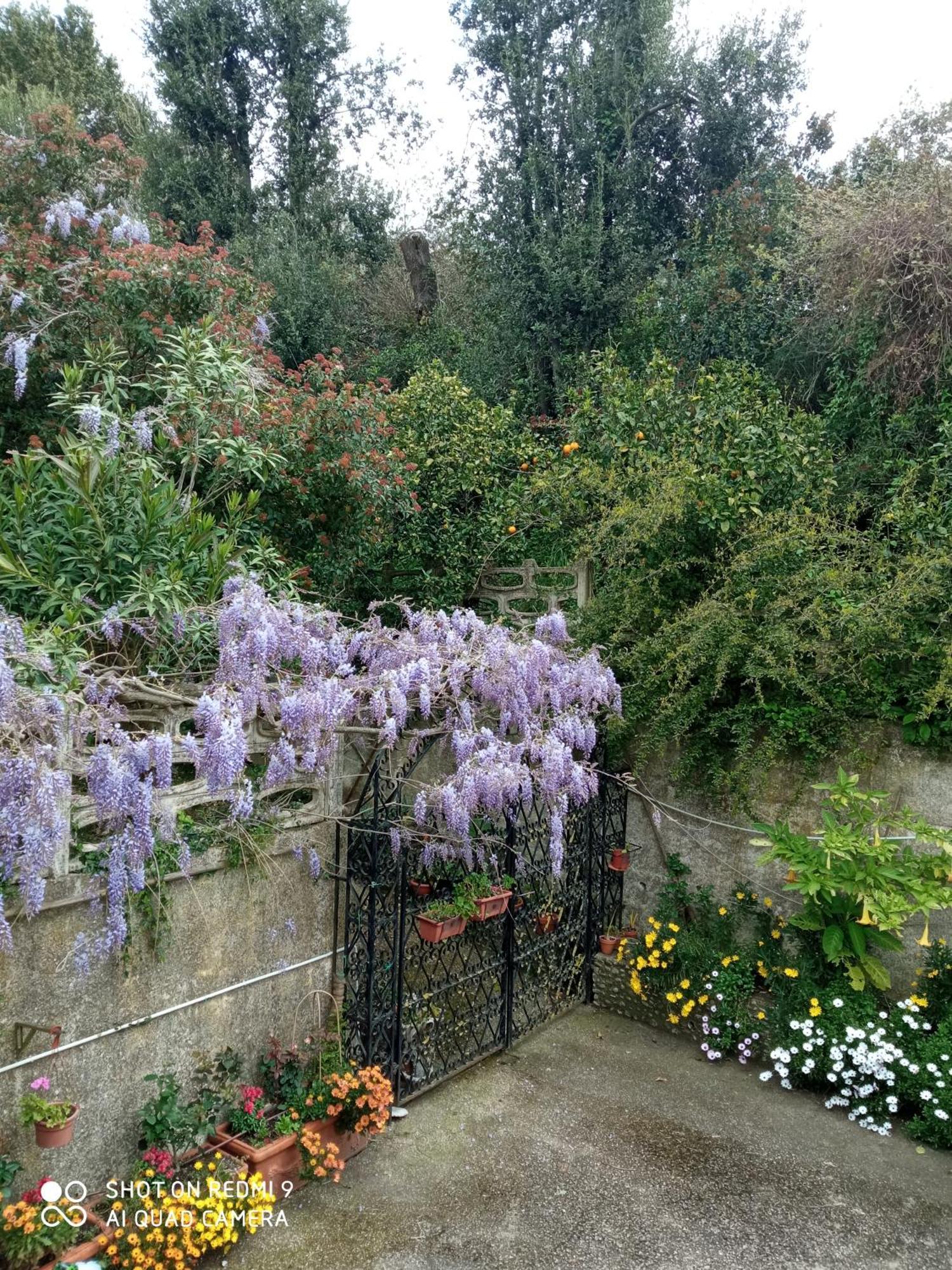 Belvedere Di Caiazzo Eksteriør bilde