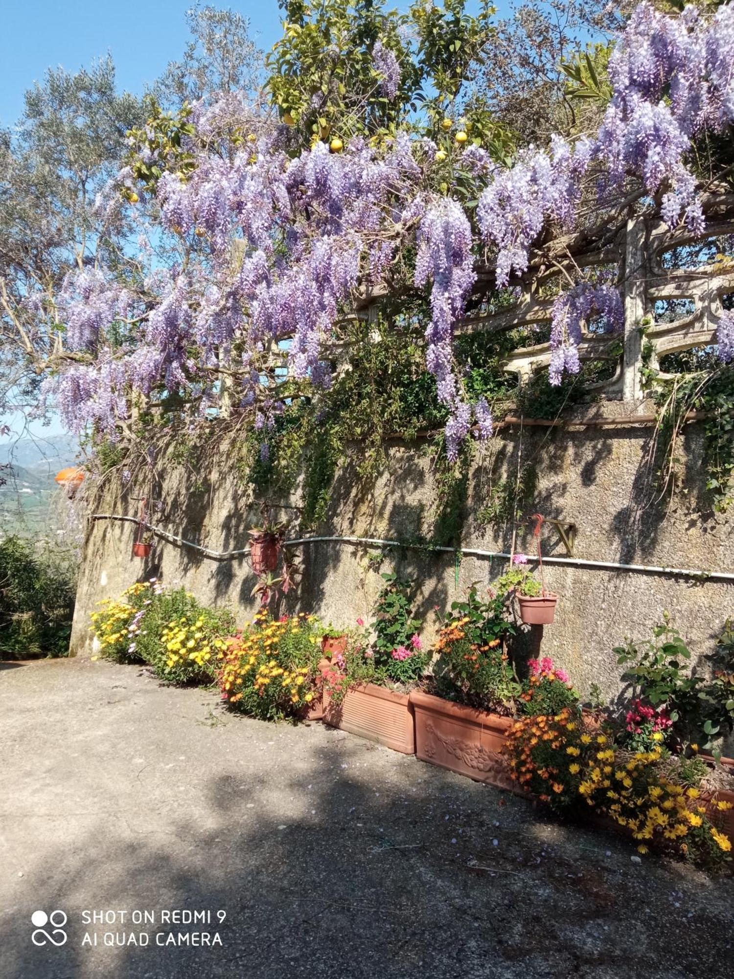 Belvedere Di Caiazzo Eksteriør bilde