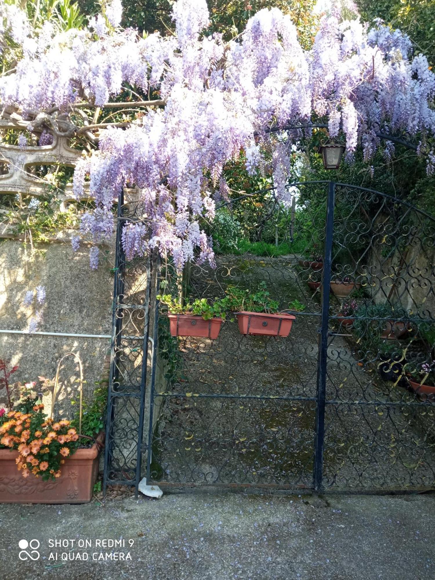 Belvedere Di Caiazzo Eksteriør bilde